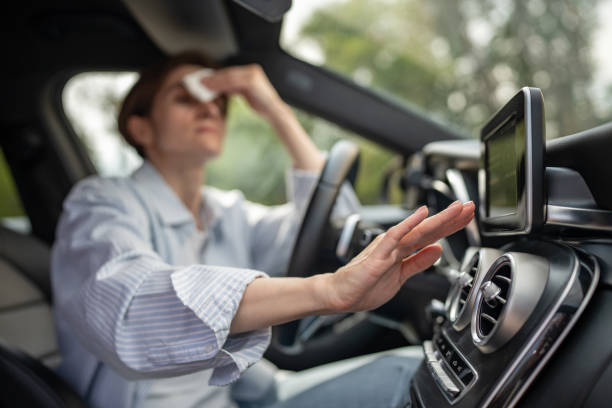 Best Thermostats and Smart Controls in Cowpens, SC